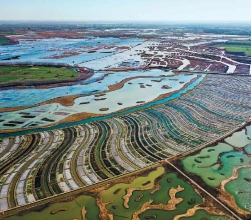 人工湿地滤料-国投盛世