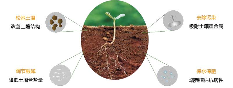 土壤修复调理剂-国投盛世