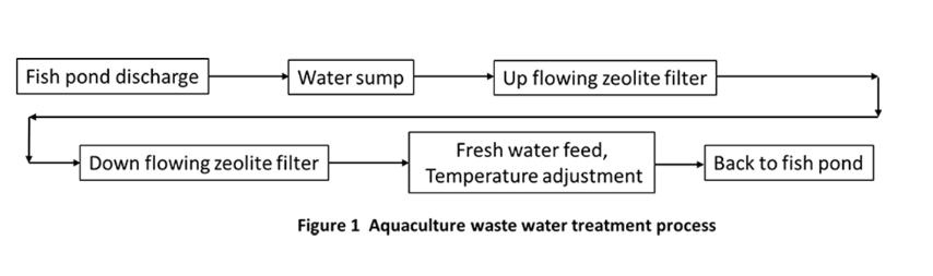 沸石颗粒可应用于水产养殖